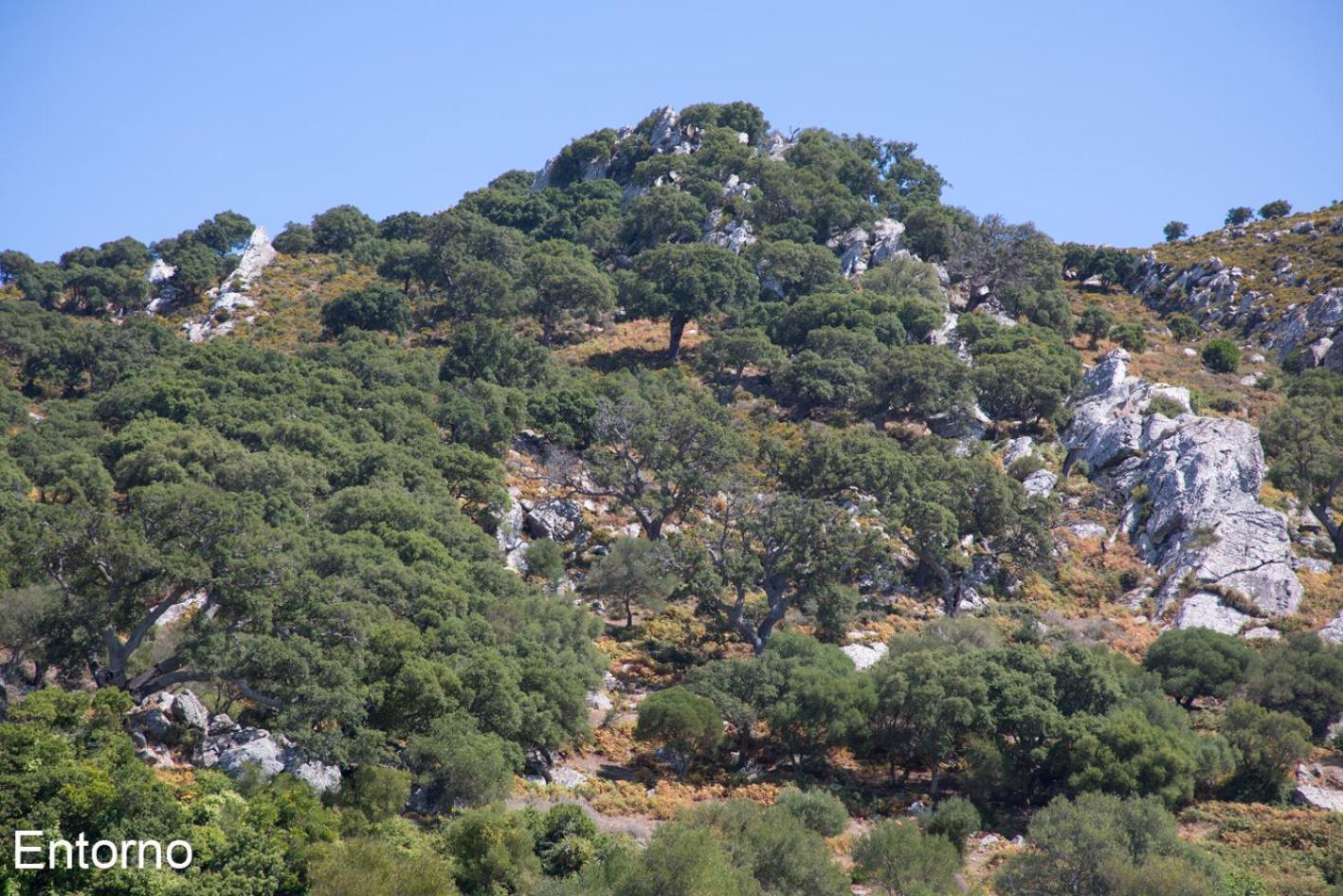 Facinas Houses Dış mekan fotoğraf